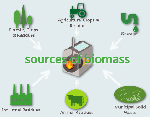 Biomass resources