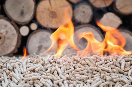 biomass pellet fuel
