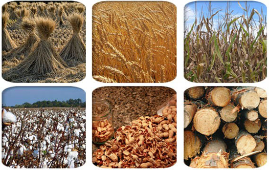 biomass materials pellets