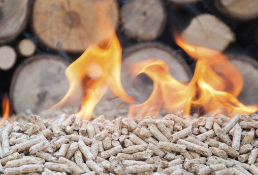 Biomass pellets