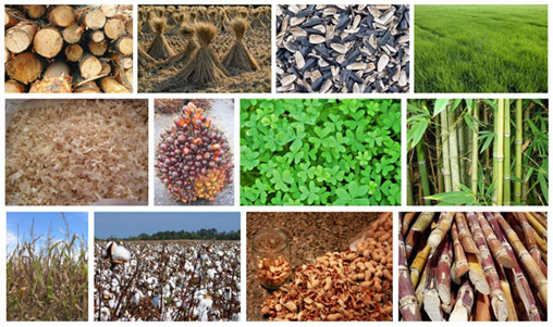 biomass raw materials