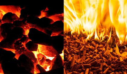 Comparison of biomass pellets and coal burning costs