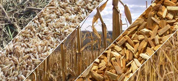 crop residues of small pellet machine