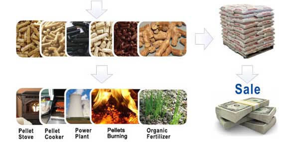 pellets made by small pellet machine application