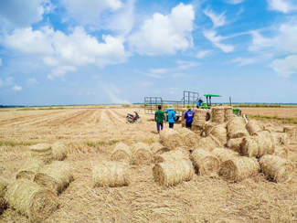 mini round baler