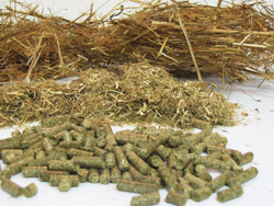 straw pellet making