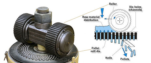 How much do you know about flat die pellet machine