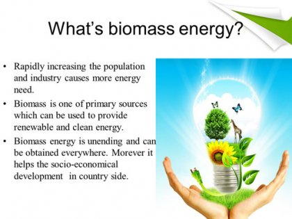 What’s the biomass energy’s impact on ecological environment?