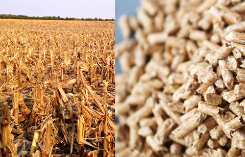 Do you know what corn pellet machine can do?