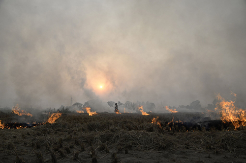 straw burning